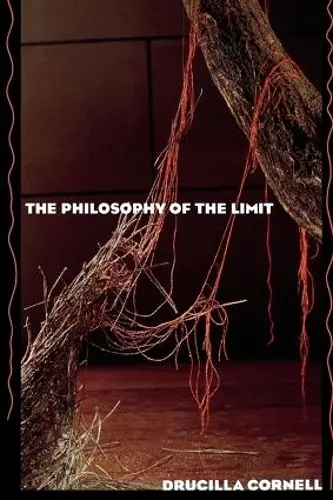 The Philosophy of the Limit cover