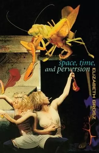 Space, Time and Perversion cover