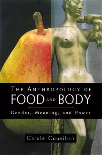 The Anthropology of Food and Body cover