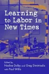 Learning to Labor in New Times cover