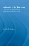 Indigeneity in the Courtroom cover