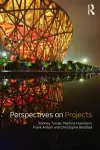Perspectives on Projects cover