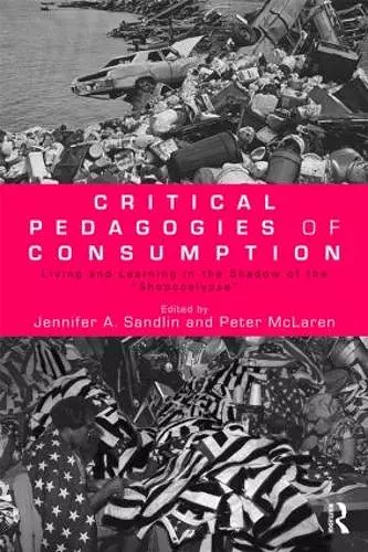 Critical Pedagogies of Consumption cover