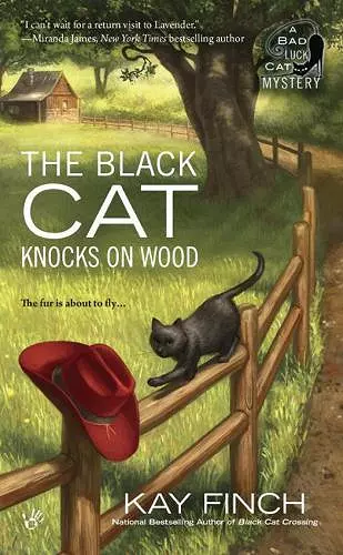 The Black Cat Knocks on Wood cover