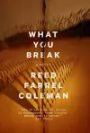 What You Break cover