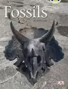 Bug Club Guided Non Fiction Year Two Gold A Fossils cover