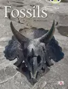 Bug Club Guided Non Fiction Year Two Gold A Fossils cover