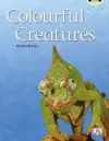 Bug Club Independent Non Fiction Year Two Orange B Colourful Creatures cover