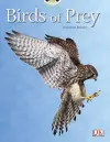 Bug Club Independent Non Fiction Year Two White A Birds of Prey cover