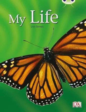 Bug Club Guided Non Fiction Year 1 Yellow C My Life cover