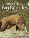 Bug Club Non-fiction Blue (KS1) B/1B A Little Look of Reptiles 6-pack cover