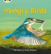 Bug Club Phonics - Phase 5 Unit 23: Hungry Birds cover