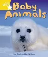 Rigby Star Guided Quest Year 1 Yellow Level: Baby Animals Reader Single cover