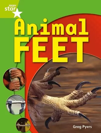 Rigby Star Guided Quest Year 1 Green Level: Animal Feet Reader Single cover