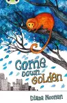 Bug Club Independent Fiction Year 3 Brown A Come Down, Golden cover
