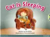 Bug Club Pink A Cat is Sleeping 6-pack cover