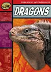 Rapid Reading: Dragons (Stage 2, Level 2B) cover