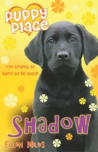 Shadow cover