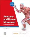 Anatomy and Human Movement cover