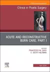 Acute and Reconstructive Burn Care, Part I, An Issue of Clinics in Plastic Surgery cover