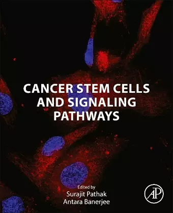 Cancer Stem Cells and Signaling Pathways cover