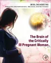The Brain of the Critically Ill Pregnant Woman cover