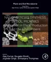 Nanoparticles Synthesis by Soil Microbes cover