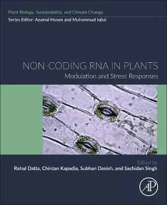 Non-coding RNA in Plants cover