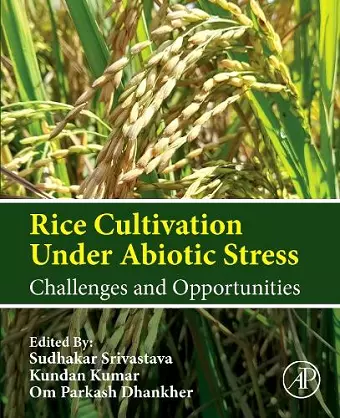 Rice Cultivation Under Abiotic Stress cover