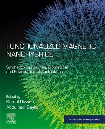 Functionalized Magnetic Nanohybrids cover