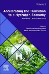 Accelerating the Transition to a Hydrogen Economy cover