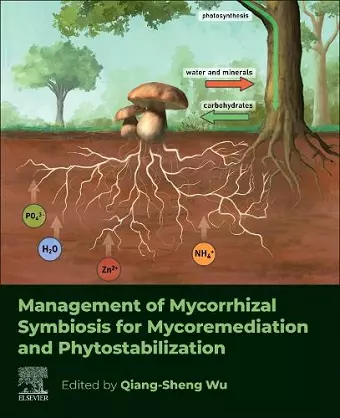 Management of Mycorrhizal Symbiosis for Mycoremediation and Phytostabilization cover