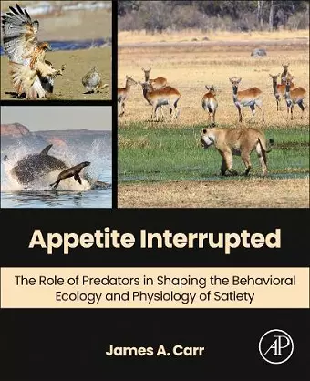 Appetite Interrupted cover