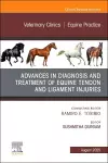 Advances in the Diagnosis and Treatment of Equine Tendon and Ligament Injuries, An Issue of Veterinary Clinics of North America: Equine Practice cover