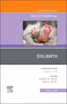 Stilbirth, An Issue of Clinics in  Perinatology cover