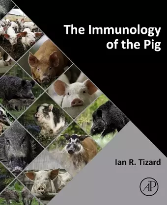 The Immunology of the Pig cover