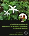 Biochemical and Molecular Mechanisms of Secondary Metabolites in Metabolic Diseases cover