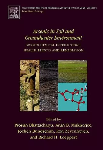 Arsenic in Soil and Groundwater Environment cover