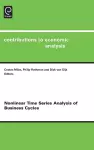 Nonlinear Time Series Analysis of Business Cycles cover