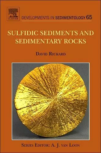 Sulfidic Sediments and Sedimentary Rocks cover