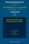 Numerical Methods for Non-Newtonian Fluids cover