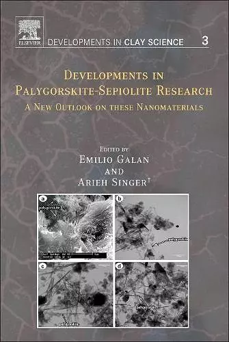 Developments in Palygorskite-Sepiolite Research cover