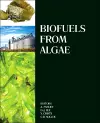 Biofuels from Algae cover