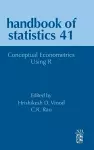 Conceptual Econometrics Using R cover