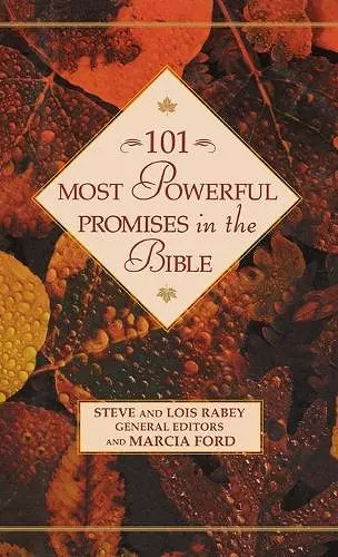 101 Most Powerful Promises in the Bible cover