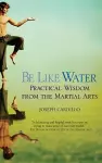Be Like Water cover