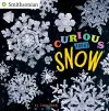 Curious About Snow cover