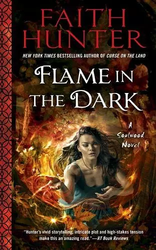 Flame in the Dark cover