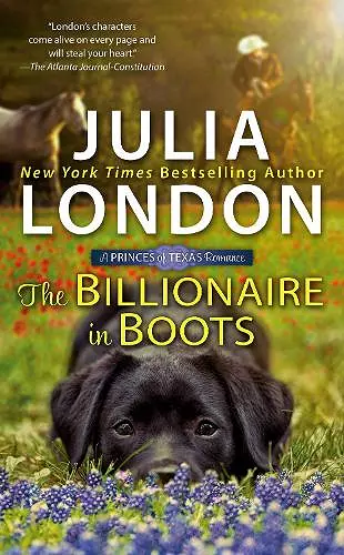 The Billionaire in Boots cover