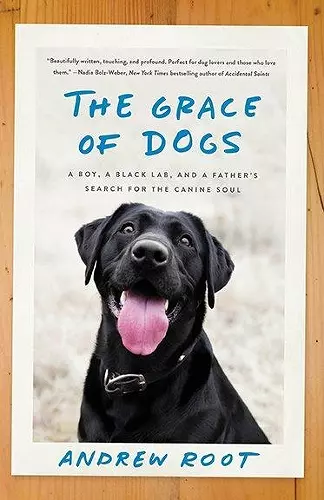 The Grace of Dogs cover